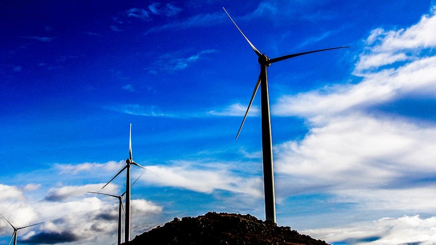 Eventos da CONAMP recebem selo de carbono neutro e reforçam compromisso com a sustentabilidade